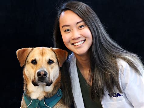 village vets emergency|VCA Encina Veterinary Medical Center.